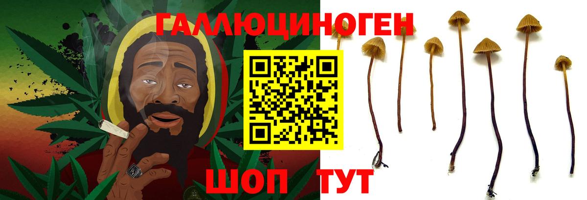Псилоцибиновые грибы мухоморы  Вход с VPN  Галлюциногенные грибы прущие грибы  Киселёвск 